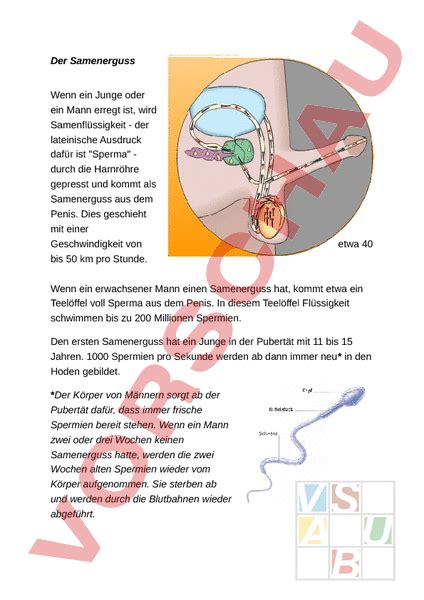 schwanz spritzt ab|Orgasmus beim Mann » so läuft der Samenerguss ab! .